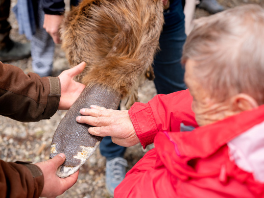 Haptik ist wichtig: Was man anfassen darf, bleibt viel besser in Erinnerung.